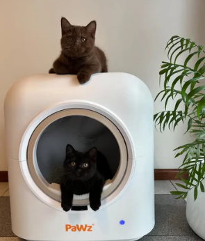 PaWz AutoClean Pro Automatic Self Cleaning Cat Litter Box